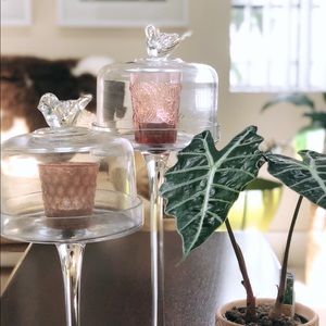 Two Beautiful Songbird clear Glass Stands